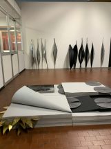 Marie Denis - Nella Wunderkammer, 2019