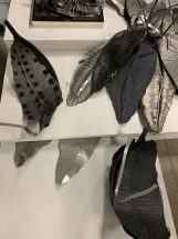 Marie Denis - Nella Wunderkammer, 2019