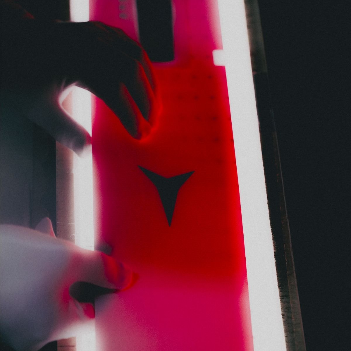 foto nel testo 6