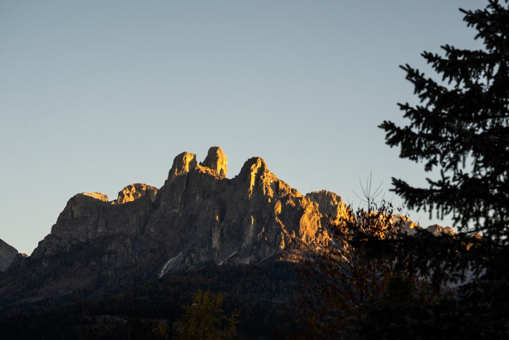 foto nel testo 6